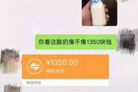 南湖专业讨债公司，追讨消失的老赖